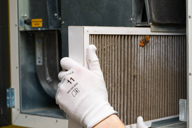 Best Air Duct Cleaning Near Me  in Langston, OK