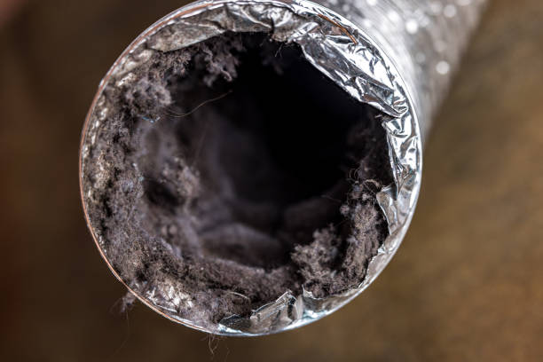 Best HVAC Air Duct Cleaning  in Langston, OK