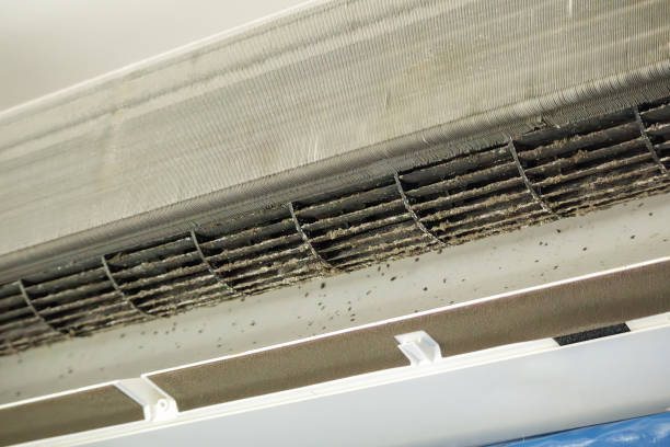 Best HVAC Maintenance and Cleaning  in Langston, OK
